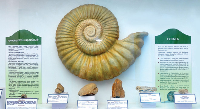 Geology