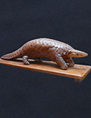 THE SCALY ANTEATER