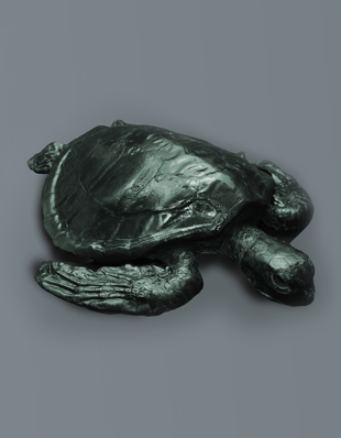 GREEN TURTLE