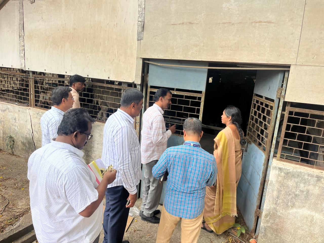 A joint inspection of the Open Sculpture Yard and the Wooden Sculpture Storage Room